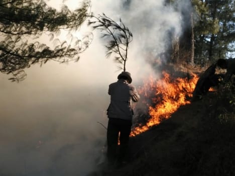woman burned in fire rampur himachal pradesh
