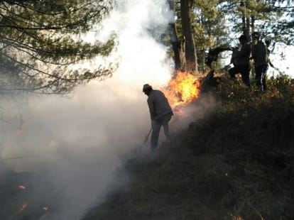 woman burned in fire rampur himachal pradesh