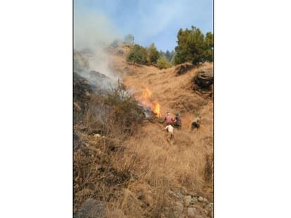woman burned in fire rampur himachal pradesh