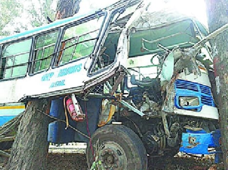 Roadways bus collided with a tree