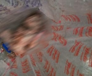 new born child dead body find.