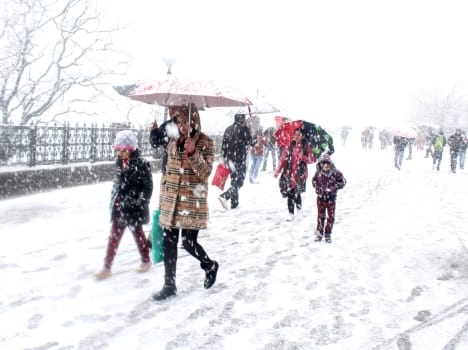 snowfall in himachal, live video.