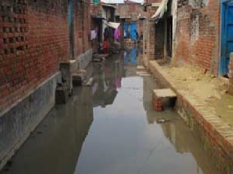 Are affected by water logging in Dropur Mohllewasi