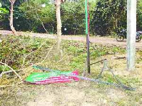 nepal's elephant destroyed forest property