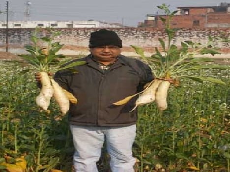 Vegetables on fallow prison Lhlhain