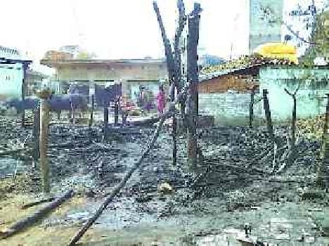 The fire burned two sheds, two cattle scorched