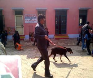 agra english medium school