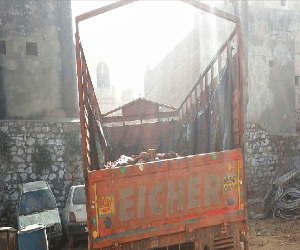 Truck full of meat caught, animal skins were also seized.