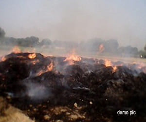 after murder burnt dead body, found broken bangles from the spot
