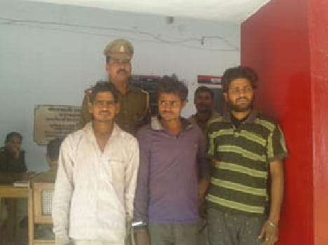 Arrested , accused of stealing three in Mandi