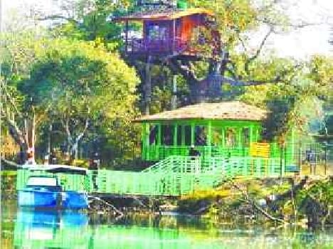 one more tree hut will be made in katarniyaghat