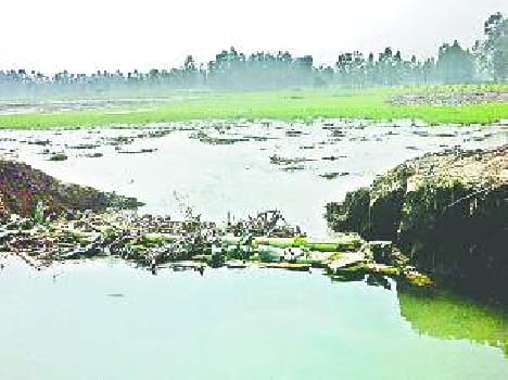 Canal cut, crop submerged 100 acres