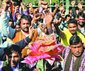 chandigarh rose garden employee strike