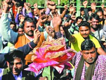 the love story of Monica Lewinsky and President Bill Clinton