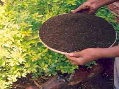 Floriculture parks will waste organic fertilizer