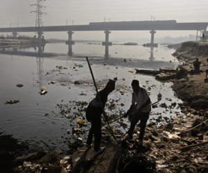 Not clean, having dirty Yamuna 'NGT had rebuke to DJB