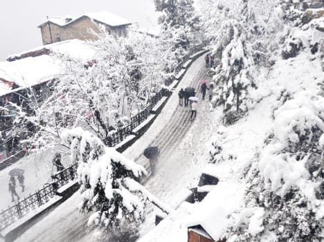 weather forecast himachal pradesh heavy rain and snowfall alert.