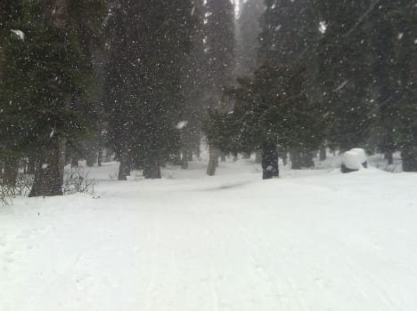 snowfall in mountains