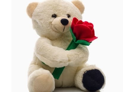 Teddy Day celebrated