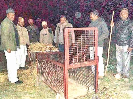 dangerous animal inter in bhot