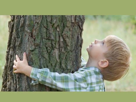  Company bios urn Will Turn You Into a Tree After You Die