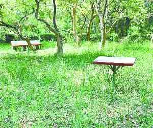 complaint regarding park cleanliness and encroachment