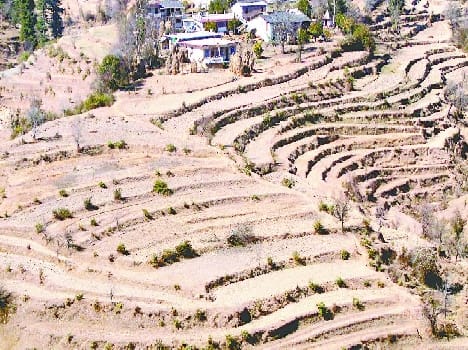Slap imposed by drought