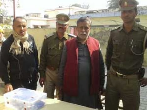 Recovered stolen statue of Krishna former priest arrested