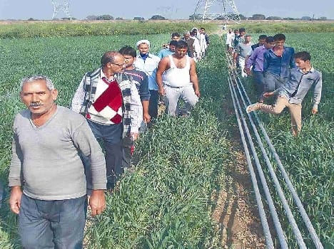 the farmer hanging then contractor ran away