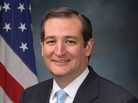 Ted removes Porn star from Campaign