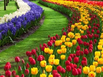 Tulip Garden will open in March