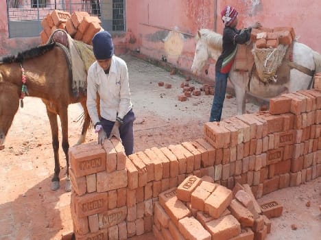 child labour in building maternity ward of dist.hospital