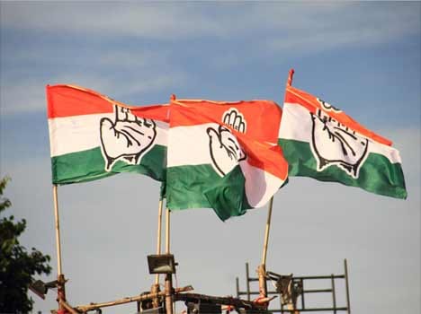 Congress reviewed the organizational activities