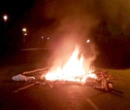 Dozens cattle burns in horrific fire