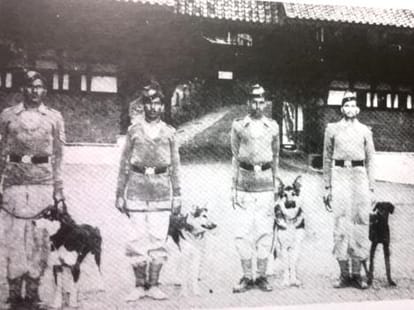 Hero was the first member of dog squad in india.