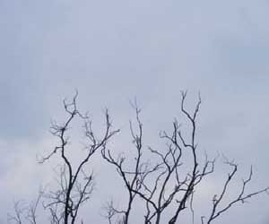 climate change in uttarakhand.