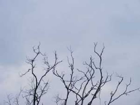 Weather Lee side , grew cold drizzle