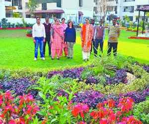 chandigarh sector 51 park selection the best park