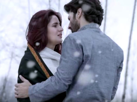 Fitoor box office collection
