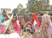 Container collision The death of the farmer