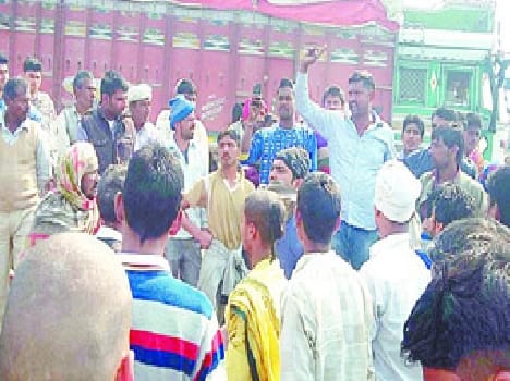 Punjab brought bull rescued from trafficking