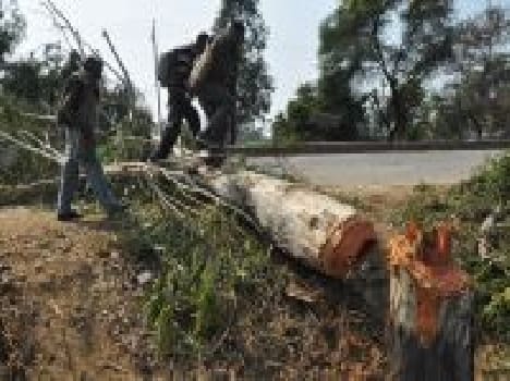 jat reservation: 102 number work not well