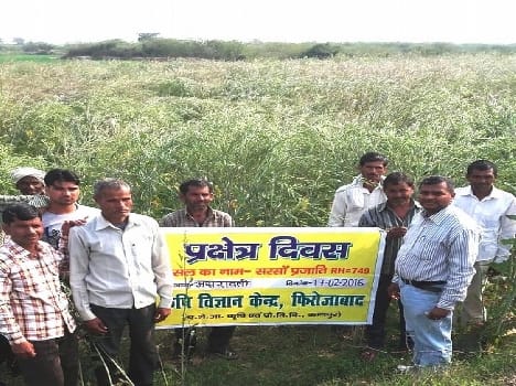 Village Farms Farmers Day celebration in Asravli