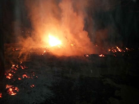 Eight acres burned lacquer crop