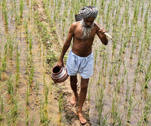 uttarakhand farmer expectation from budget 2016.