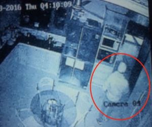 theft in pharmaceuticals company owner home in chandigarh