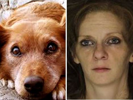 Serial Robber Arrested, Told Police She Needed Money For Dog Food