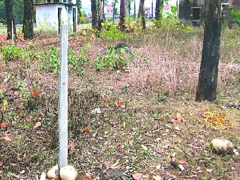 The siege on government land
