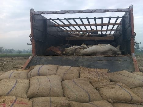 53 banned animal recovered in Katra