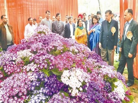 flower show organise in circuit house